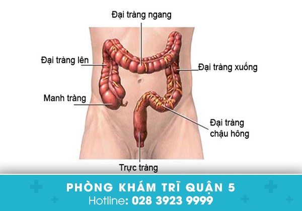 Dấu hiệu ung thư trực tràng ác tính